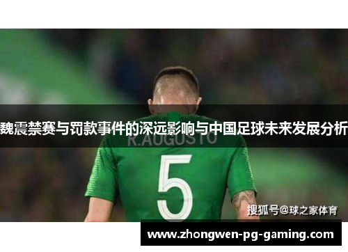 魏震禁赛与罚款事件的深远影响与中国足球未来发展分析