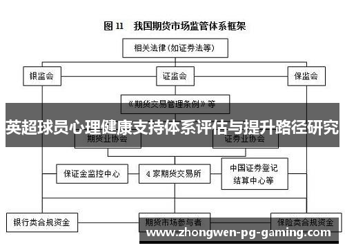 英超球员心理健康支持体系评估与提升路径研究