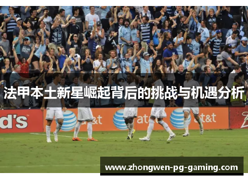 法甲本土新星崛起背后的挑战与机遇分析
