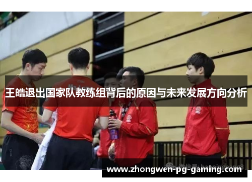 王皓退出国家队教练组背后的原因与未来发展方向分析