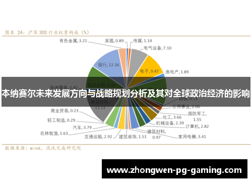 本纳赛尔未来发展方向与战略规划分析及其对全球政治经济的影响