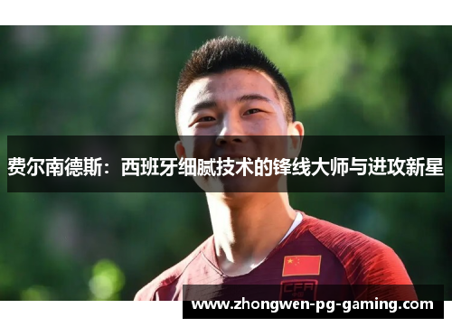 费尔南德斯：西班牙细腻技术的锋线大师与进攻新星